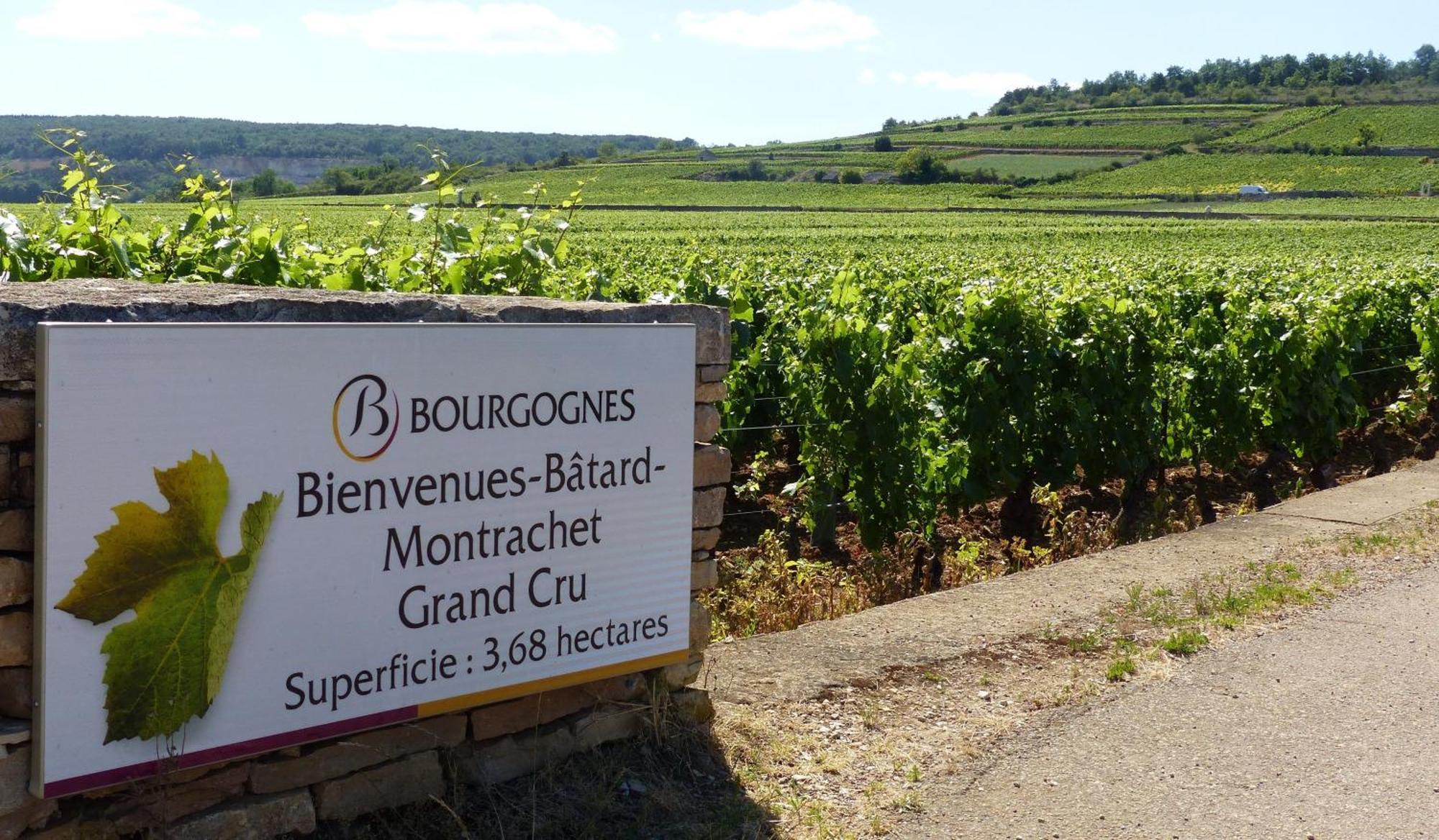 The Mews Appartement Puligny-Montrachet