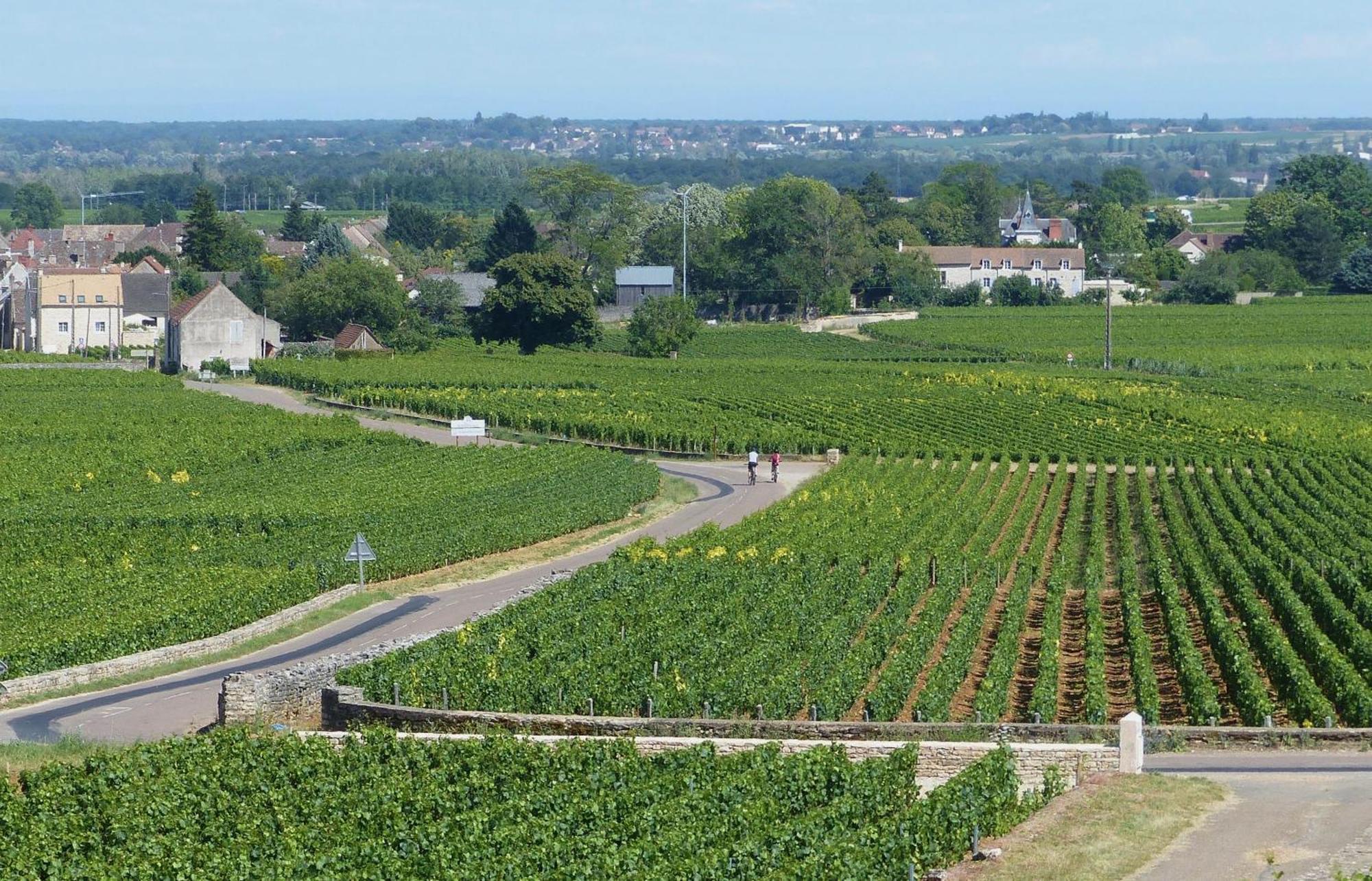 Appartement The Mews Puligny-Montrachet